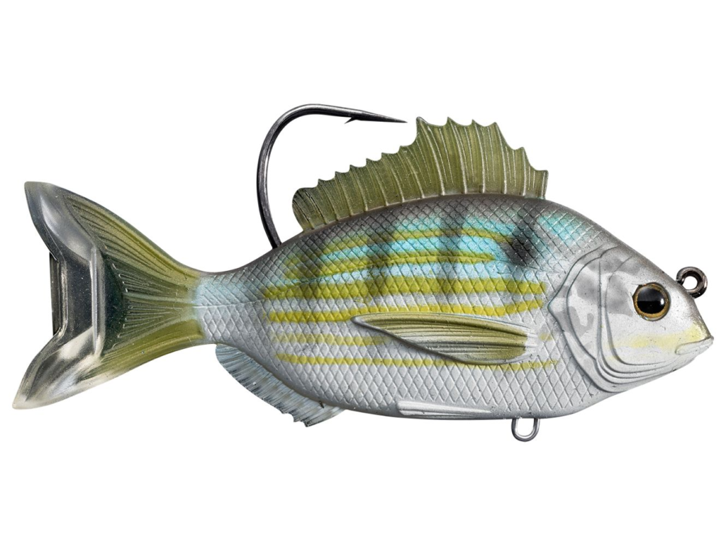 Pinfish Underwater Fish Light