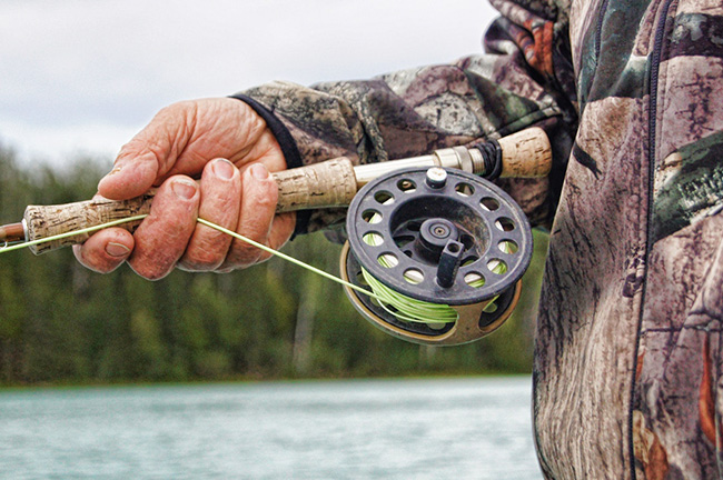 Snook Light Roundup Underwater Fish