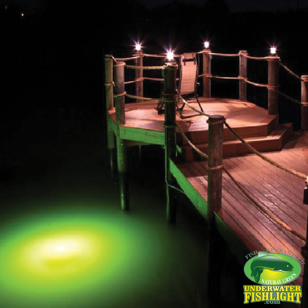 Extra Bright Double Dock Lights by Underwater Fish Light