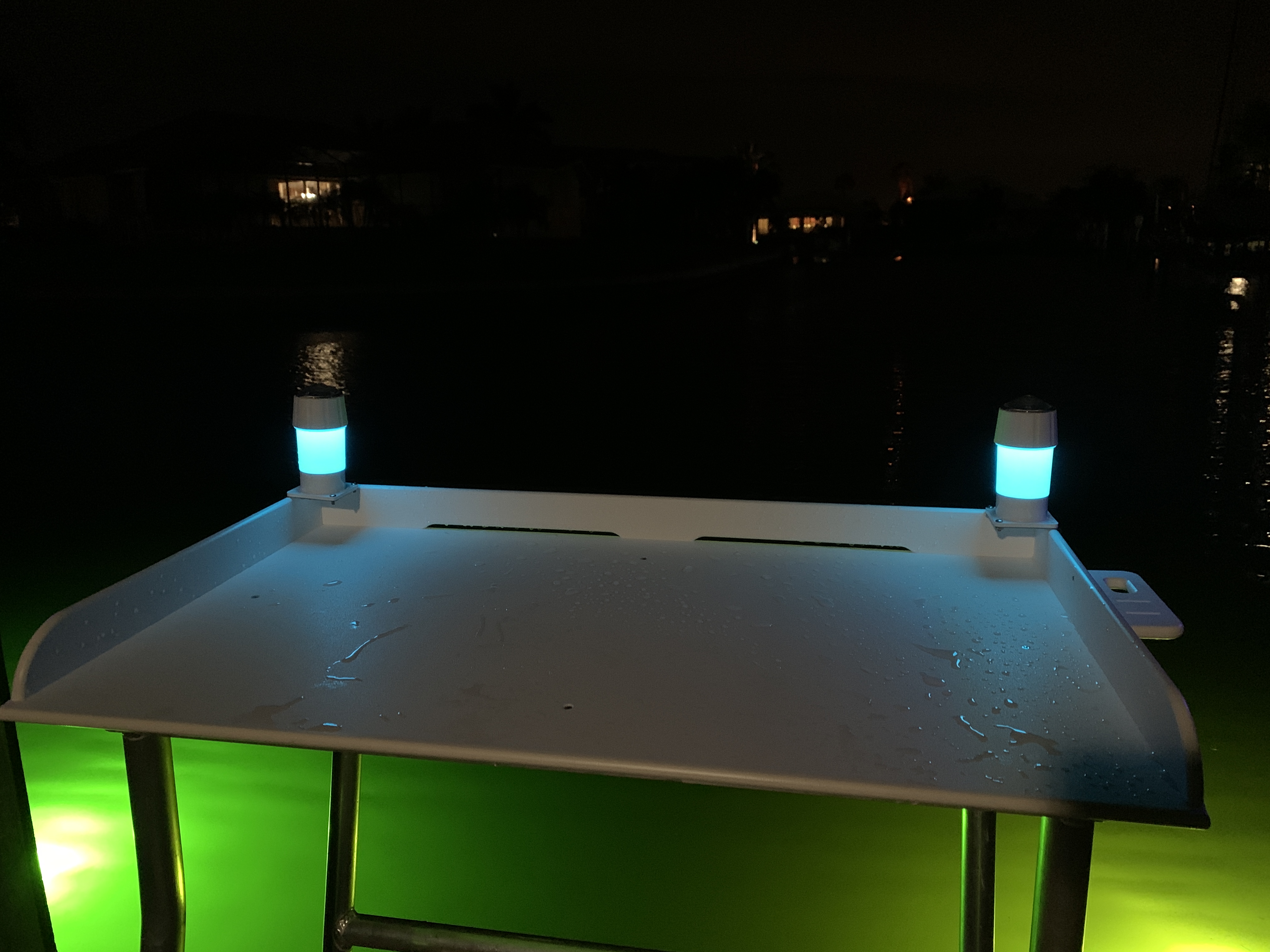 Solar Dock Lamp Underwater Fish Light